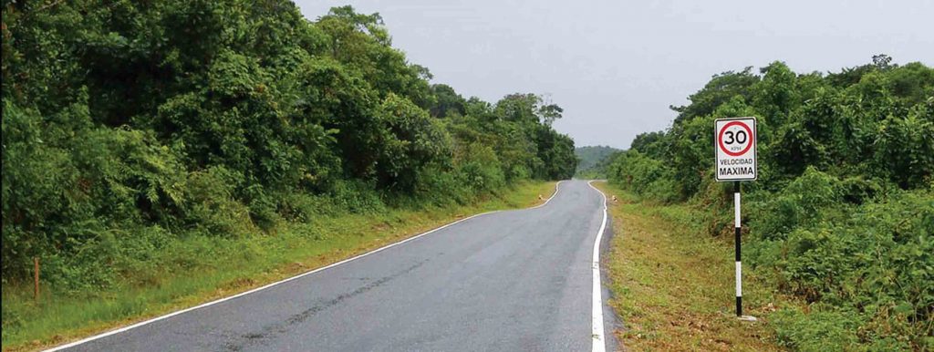 Carretera Amazonas-Foto del Ministerio