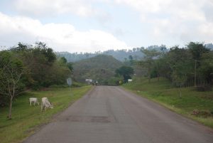 Vía en Honduras. Fotografía cortesía de Cassidy Lancaster (Flickr)