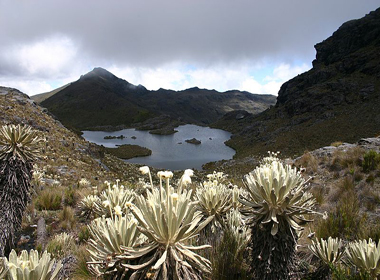 MPA ENERO 16 2013 Boletin News 2 paramo santurban mineria colombia